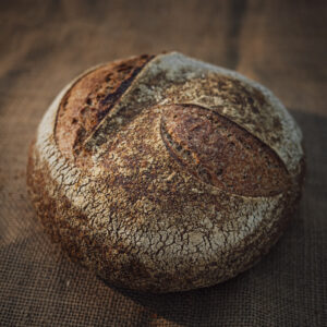 Pane